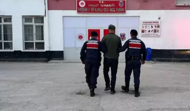 Kaman’da Köpeği Tüfekle Öldüren Şüpheli Tutuklandı