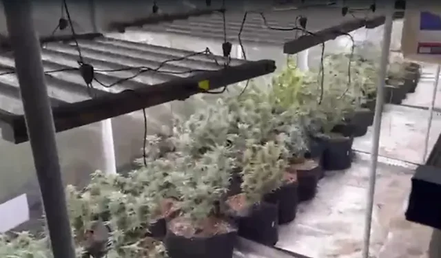 Menemen’de Uyuşturucu Operasyonu: 2 Kişi Tutuklandı