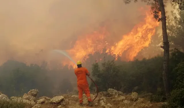 Orman Yangınlarına Karşı 125 Riskli Nokta Belirlendi