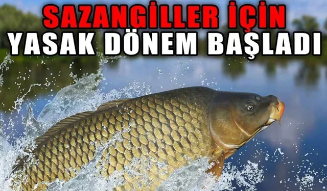 Tokat’ta İç Sularda Av Yasağı 1 Nisan’da Başladı