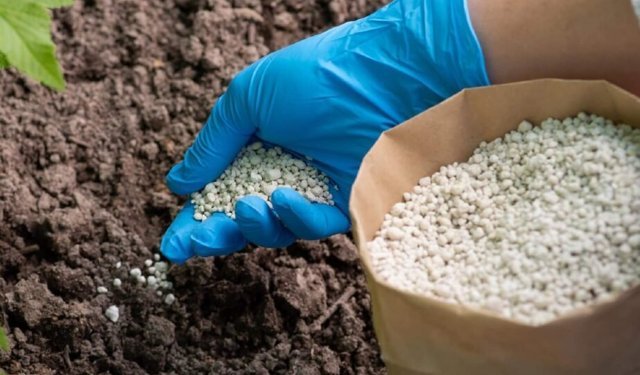 Tokat’ta Gübre Desteği Listeleri Açıklandı: 5 Günlük Kritik Süre Başladı!