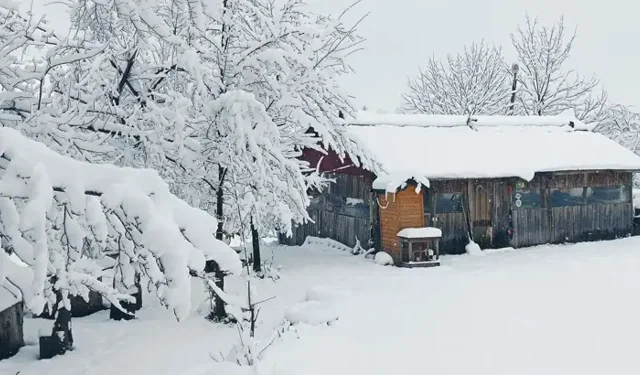 Turnalık’ta Mayıs Ayında 25 Cm Kar Yağdı