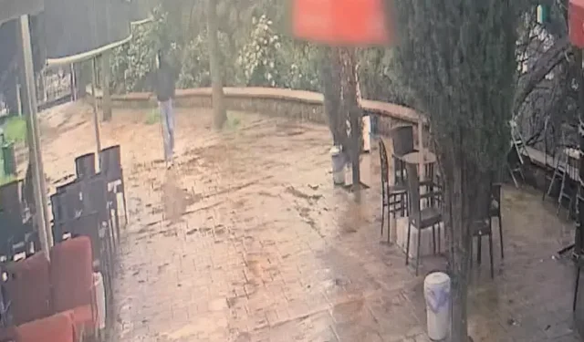 Psikoloğa "MİT" Tuzağı: 10 Milyon Liralık Vurgun