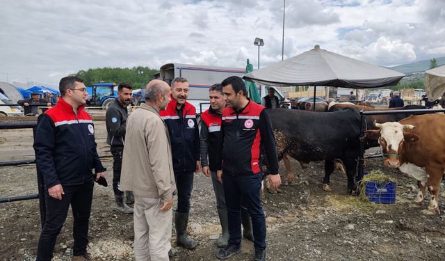 Tokat’ta Kurban Pazarına Üst Düzey Ziyaret: Denetimler Bayram Boyunca Sürecek