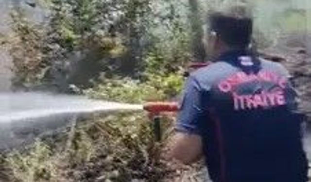 Anız Yangınında Dumandan Etkilenen Kişi Kurtarıldı