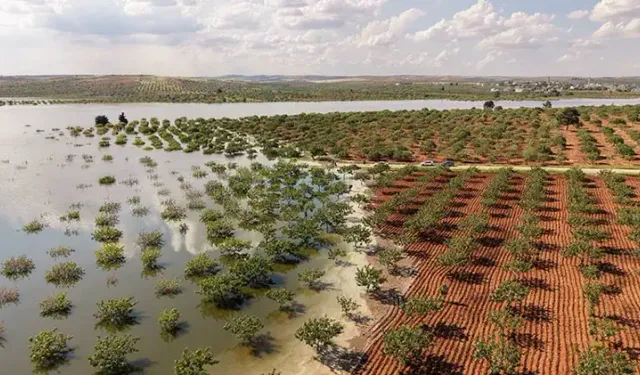 Su Altında Kalan Fıstık Bahçeleri Dronla Görüntülendi