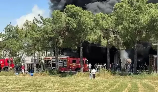 Denizli’de Kauçuk Fabrikasında Korkutan Yangın