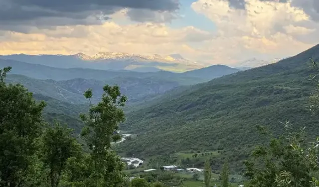 Şırnak'ta Ormanlara Girişler 30 Eylül'e Kadar Yasaklandı