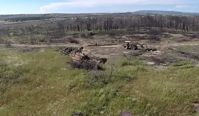 Edirne’de Orman Yangınında Zarar Gören Alanın Temizliğinde Sona Gelindi