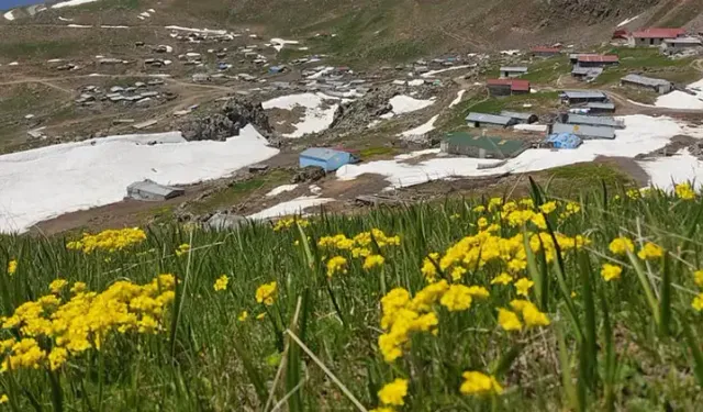 Artvin’de Haziran Ayında Karla Mücadele