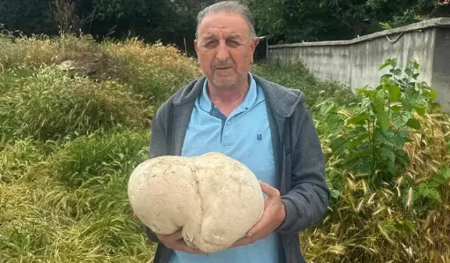 Bahçesinde 3,5 Kiloluk Mantar Buldu
