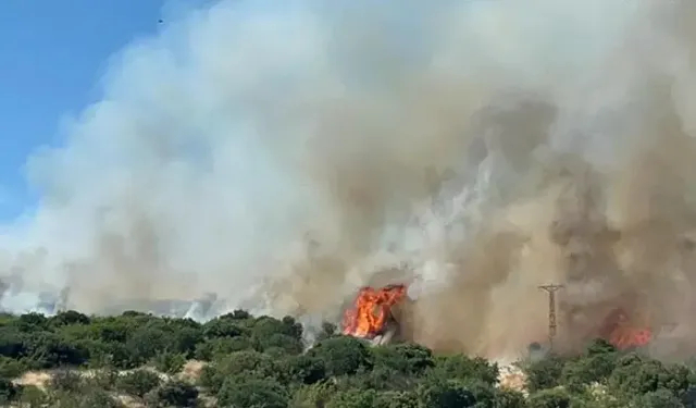 Çanakkale'de Bozuk Ormanda Yangın
