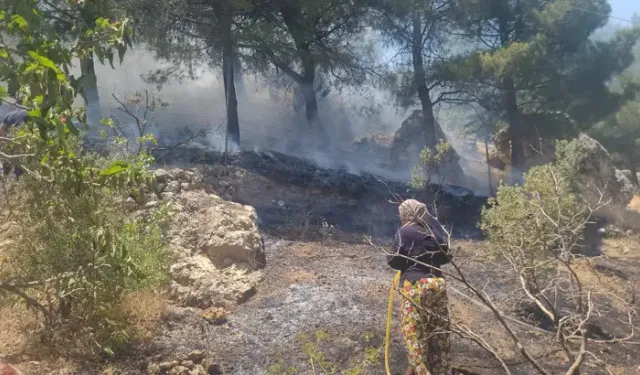 Kahramanmaraş’ta Orman Yangını Meydana Geldi