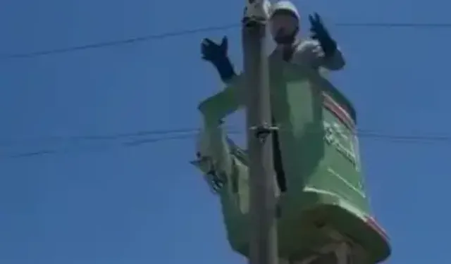 Amasya'da Elektrik Direğinde Mahsur Kalan Kedi Kurtarıldı