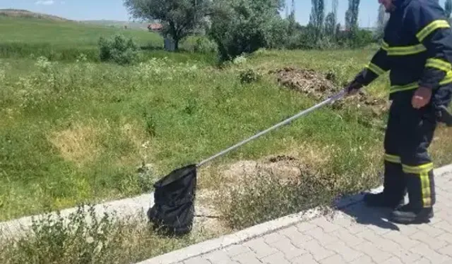 Eve Giren Yılan İtfaiye Ekiplerince Yakalanarak Doğaya Bırakıldı