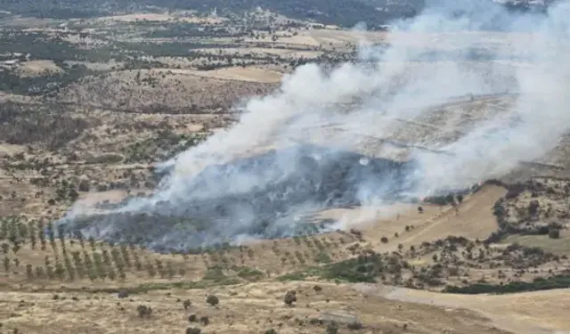 Çanakkale'de Orman Yangını Kontrol Altında