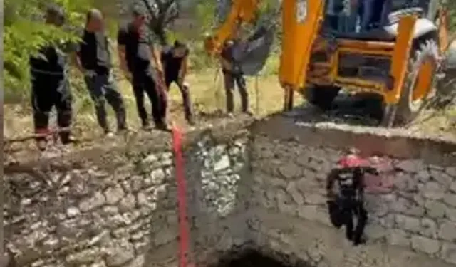 Sulama Havuzuna Düşen İnek, Halatla Çıkarılıp Kurtarıldı