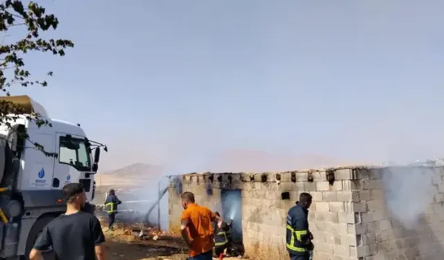 Mardin'de Anız Yangını, Yerleşim Yerine De Sıçradı