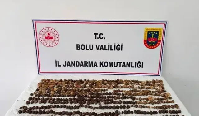 Yabani Salep Toplayan 3 Kişiye 2 Milyon 97 Bin TL Ceza