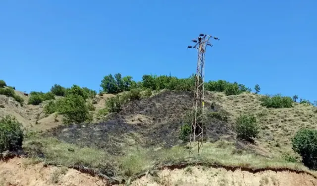Genç'te Örtü Yangını Söndürüldü