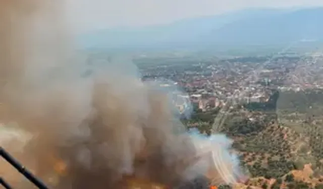 Aydın'da Tarım Arazisinde Yangın