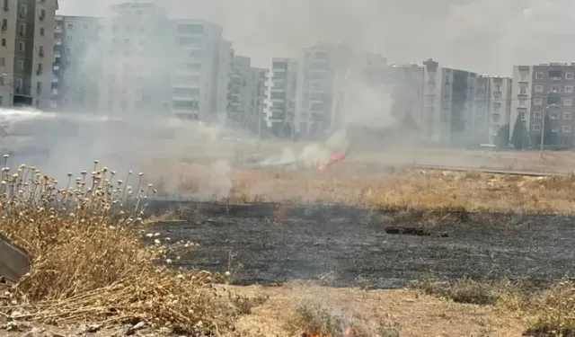 Anız Yangını, Yerleşim Alanlarına Sıçramadan Söndürüldü