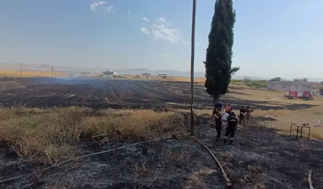 Mardin'de 8 Farklı Noktada Anız Ve Bahçe Yangını