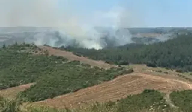 Adana'da Anız Yangınında Alevler Ormana Sıçradı