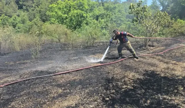 Çöp Yakılırken Çıkan Yangında 4 Dönüm Alan Zarar Gördü