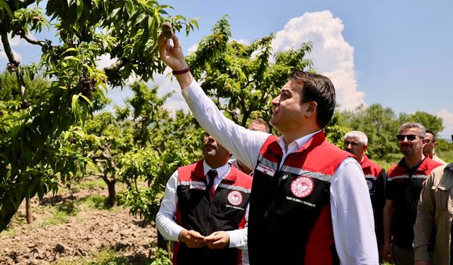 Vali Abdullah Köklü, Güryıldız’da Üreticilerle Buluştu: Tokat’ta Hasat Bereketi Başladı
