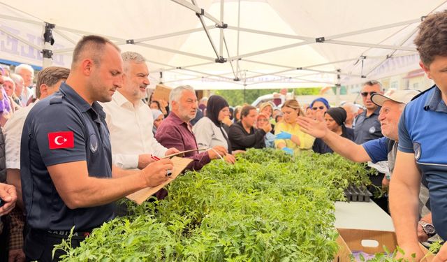 Belediye Seralarında Yetişen 15 Bin Ata Tohumu Domates Fidesi Vatandaşla Buluştu