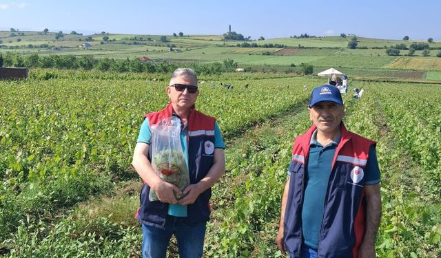 Erbaa ve Turhal'da Tarımda Taviz Yok: Denetimler Yıl Boyu Kesintisiz Sürecek!