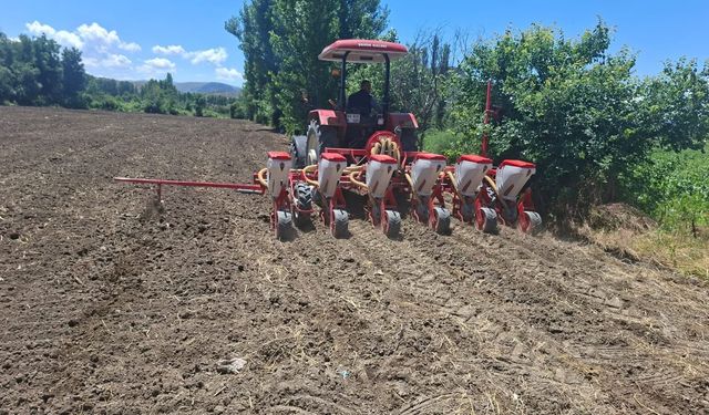 Tokat’ta "Yerli Hibrit Çeşitlerin Yaygınlaştırılması Projesi" Kapsamında İlk Ekimler Yapıldı