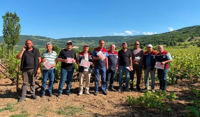 Tokat İl Tarım’dan Güvenilir Üretim Hamlesi: Bağlarda Kalıntı Eylem Planı Devrede