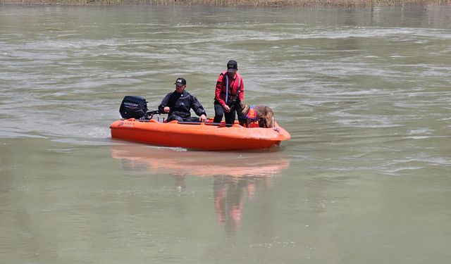 Kelkit Çayı'nda Kaybolan İlker, 10 Gündür Aranıyor