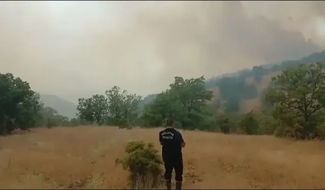 Malatya'da Orman Yangını Çıktı