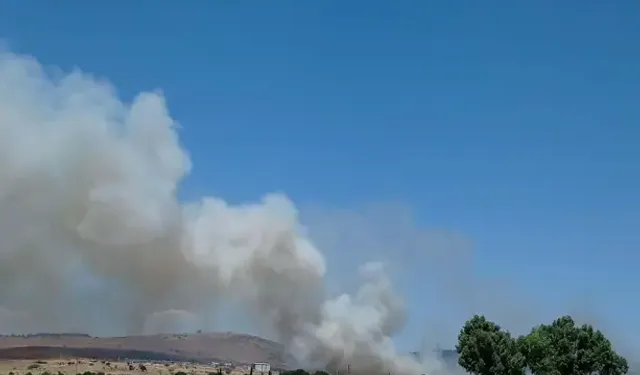Ayvalık'ta Çöplükte Yangın  Çıktı
