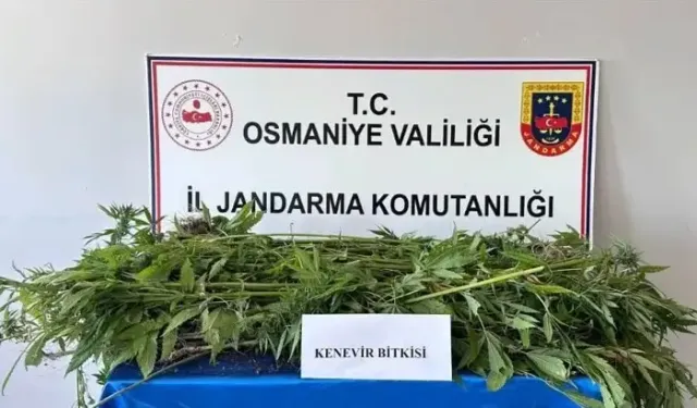 Osmaniye’de Jandarma Son Bir Haftada 164 Şüpheliyi Yakaladı