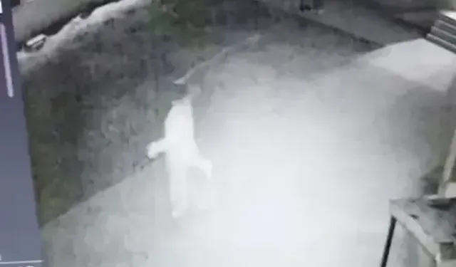 Cami Avlusunda Uygunsuz Davranışlarda Bulunan Çifti Uyaran İmam Darbedildi