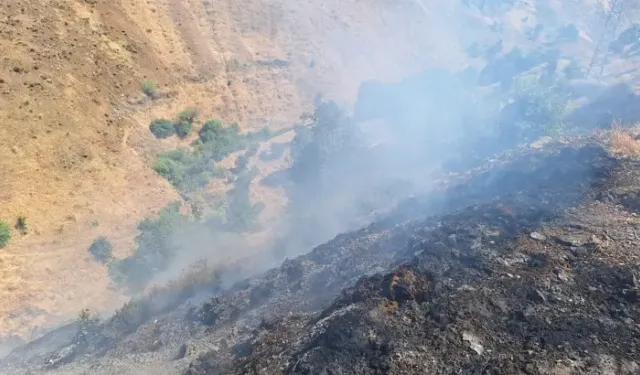 Genç’te Eski Köy Mezarlığında Örtü Yangını