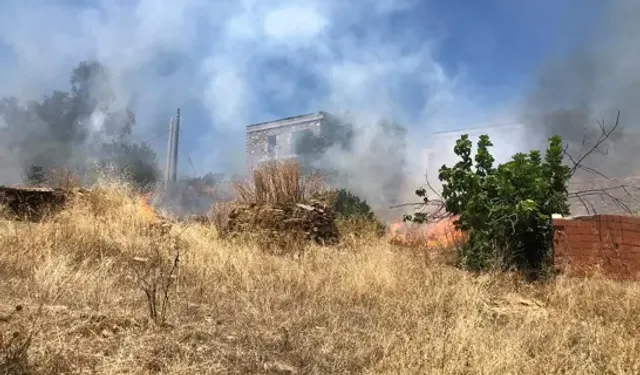 Bodrum'da Otluk Alanda Çıkan Yangın, Ormana Sıçradı