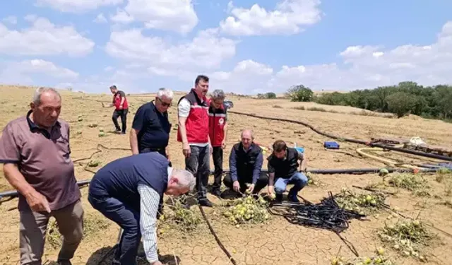 Tekirdağ'da Doludan Zarar Gören Tarlalarda İnceleme Sürüyor