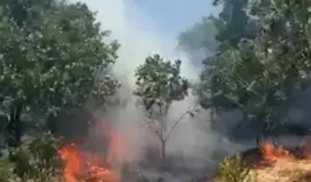 Anız Yangını, Ormana Sıçramadan Söndürüldü