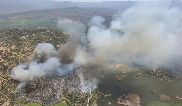 Aydın'da 5 Ayrı Noktada Tarım Arazisi Yangını