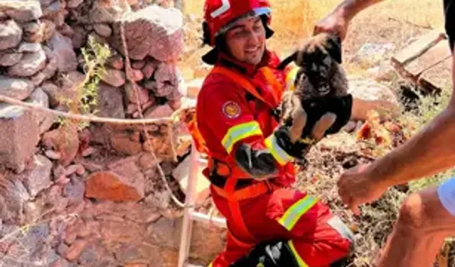 Milas’ta Kuyuda Mahsur Kalan Yavru Köpeği İtfaiye Kurtardı