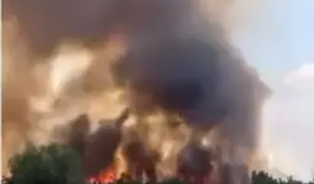 Ankara'da Otluk Alanda Yangın