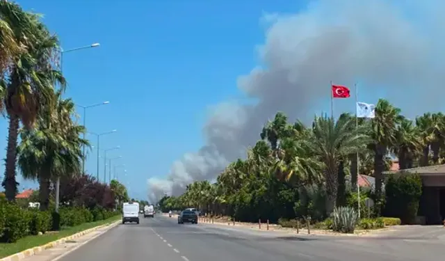Antalya'da Orman Yangın Çıktı