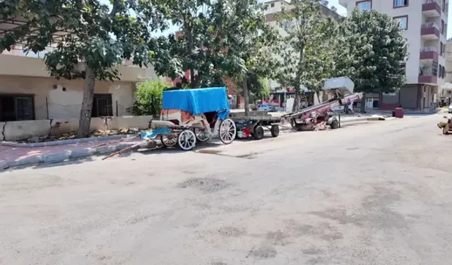Mersin’de Bitkin Düşen At Kurtarıldı