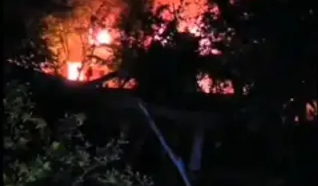 Osmaniye'de Yayla Evi Yandı
