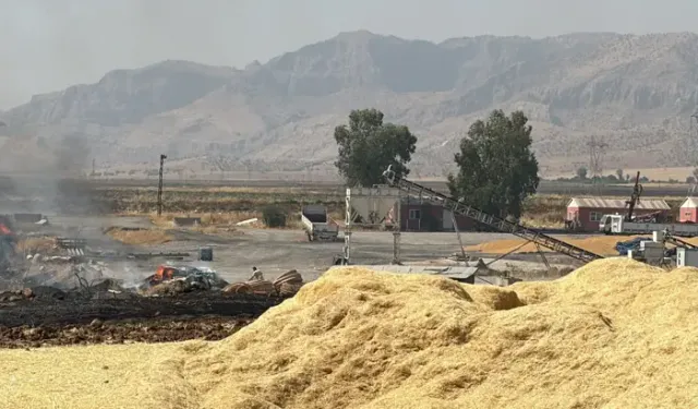 Şırnak'ta Anız Yangını Samanlıklara Sıçramadan Söndürüldü